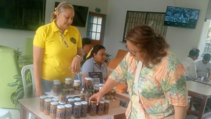 ambiental nterior_1.png